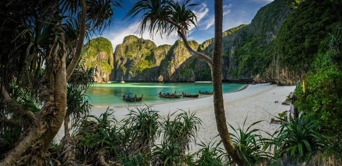 nature landscape beach white sand trees shrubs tropical 2k