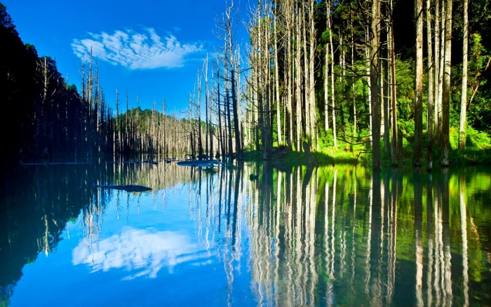 Beautiful nature scenery lake trees water reflection sun 2k