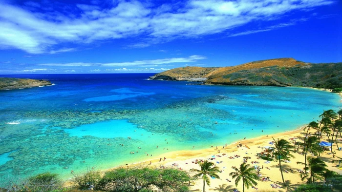 Honolulu Hawaii Beach Wallpaper 2k