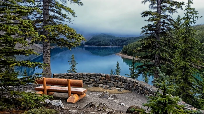 misty calm moraine lake pine tree fog valley of the ten peaks 2k