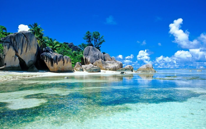 Tropics sea rocks beach palm trees sky clouds 2k