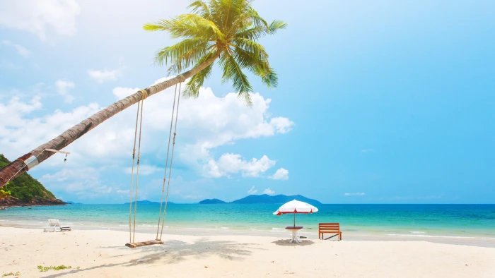 arecales exotic sunny day sunlight sunshine swing sandy beach 2k 4k