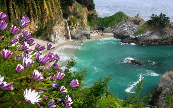 beach sea landscape nature waterfall flowers 2k