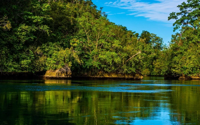 body of water Raja Ampat island forest tropical Indonesia 2k