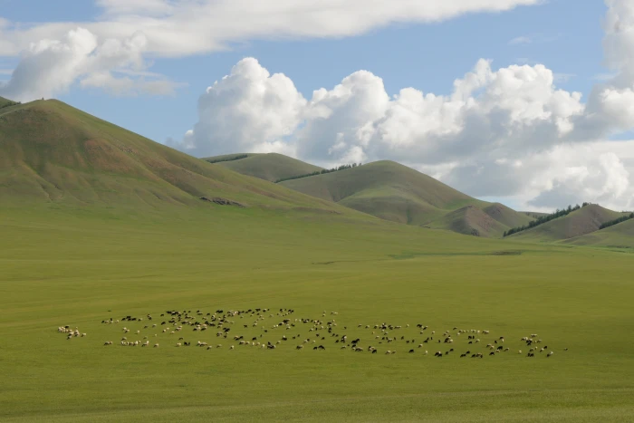 mountains under white clouds Mongolia Landscape Steppe wide 2k 4k