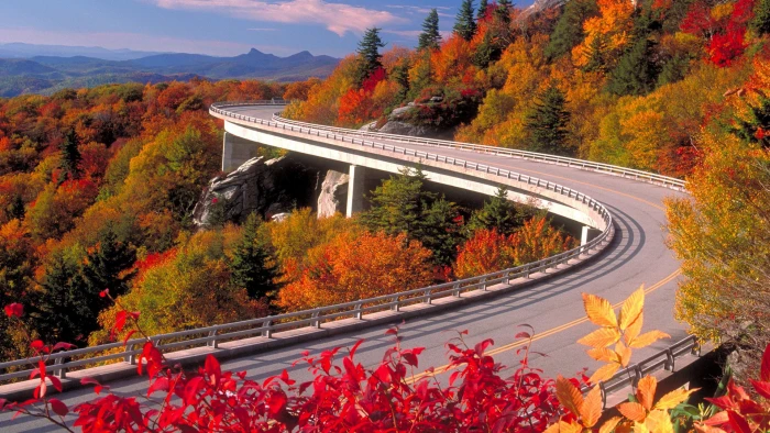nature bridge sky city architecture river landscape building 2k