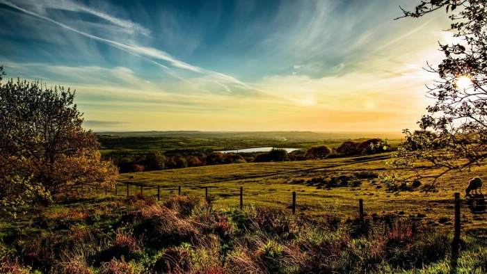 widescreen high resolution nature hd landscape plant 2k