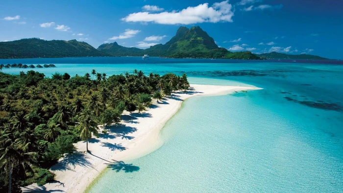 Beach In Tahiti French Polynesia Tropical Green Palm Trees Clear Blue Water 2k