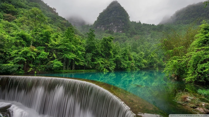 green trees near lake nature waterfall reflection forest 2k