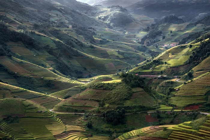 rice terraces nature landscape mountains field sunlight 2k