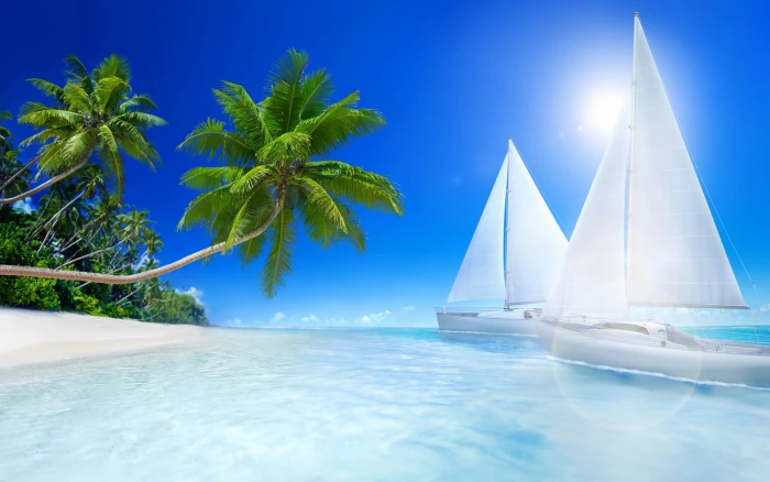 Tropical Landscape Ocean Islands Beaches Palm Trees Boats Desktop Hd Wallpapers 2k 4k