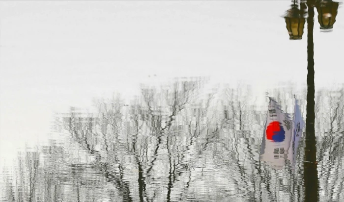 South Korea flag Asian Korean Taegeukgi water tree nature 2k