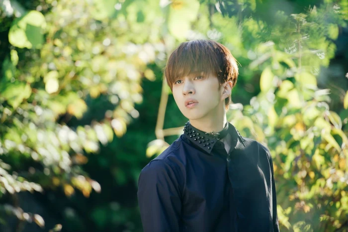 vixx K pop Ravi Hongbin Hyuk Hakyeon Jaehwan Taekwoon 2k