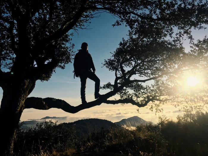 mexico pinal de amoles cuatro palos casa ejidal morning 73 2k 4k