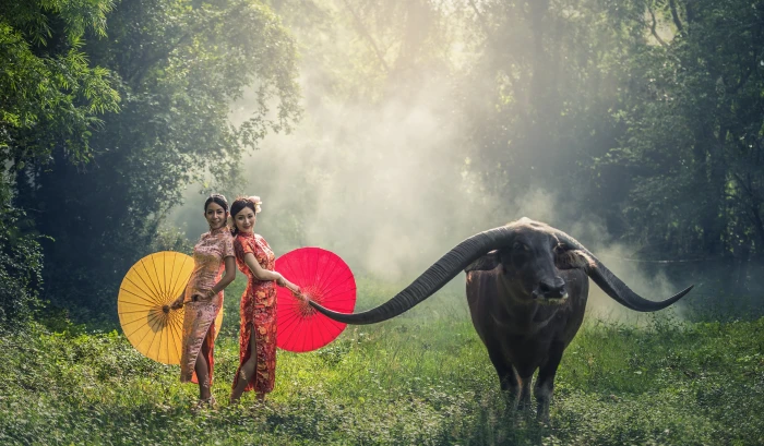 two women takes photo beside long horned animal in forest at daytime 2k 4k