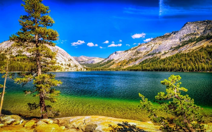 trees and mountain nature landscape lake mountains forest 2k