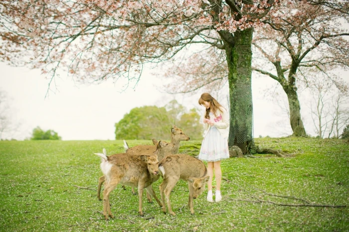 Yurisa Chan Korean model women tree plant grass one person 2k