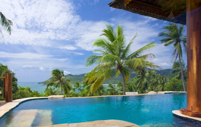 Dream Pool in the Hills body of water and pine trees view photography 2k