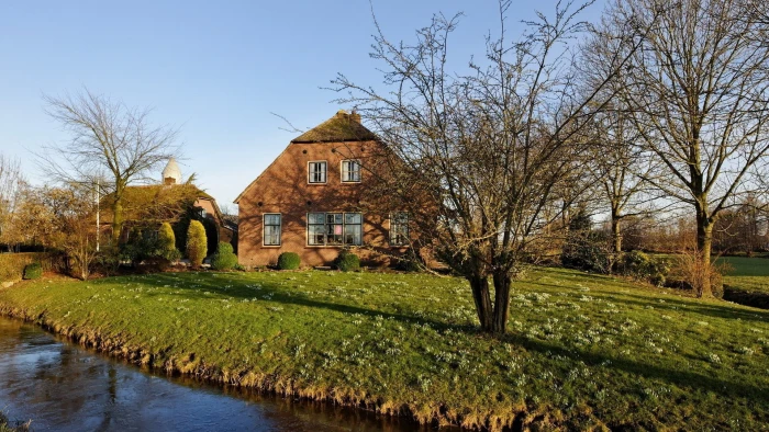 for desktop nature scenes beautiful scenery tree 2k