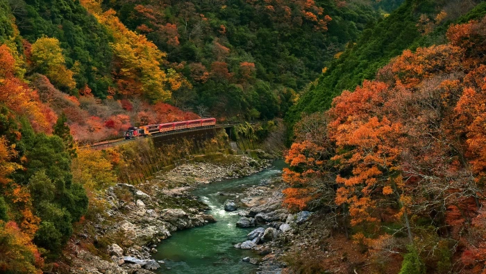 red train river surrounded by trees at daytime nature landscape 2k