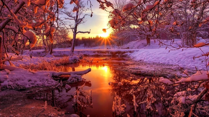 sunset winter landscape sunray forest snow trees snowy 2k