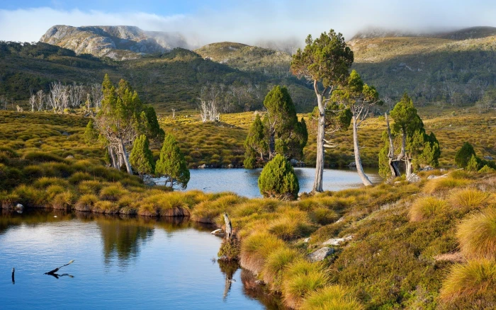 Tasmania Australia lake mountains grass trees water shrubs 2k