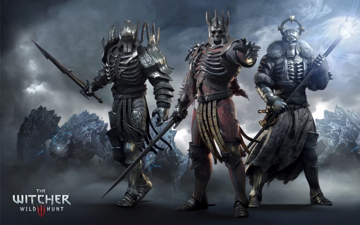 warrior Eredin The Witcher CD Projekt RED 3 Wild Hunt 2k