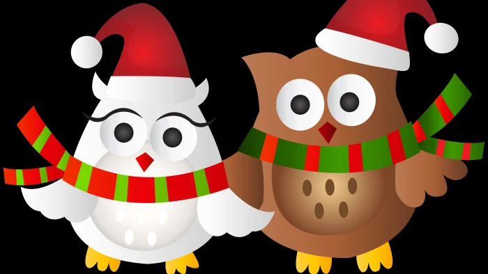 christmas santa claus owl owls graphics art illustration 2k 4k 5k 8k
