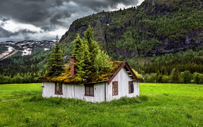 gray wooden house landscape nature summer abandoned Norway 2k