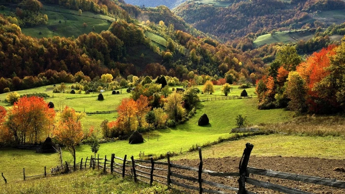green grass field nature landscape trees forest mountains 2k