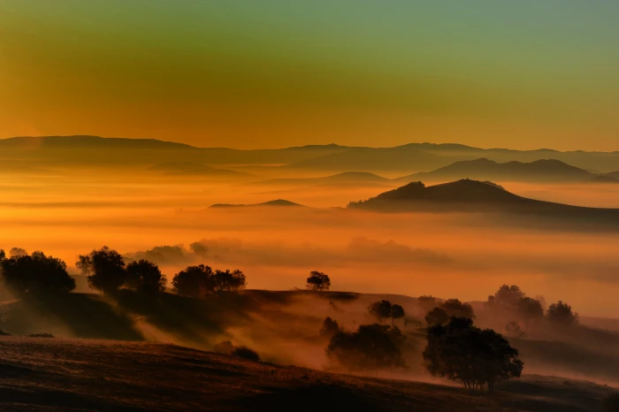 mountain with trees during sunset nature hill sunrise Dawn 2k 4k