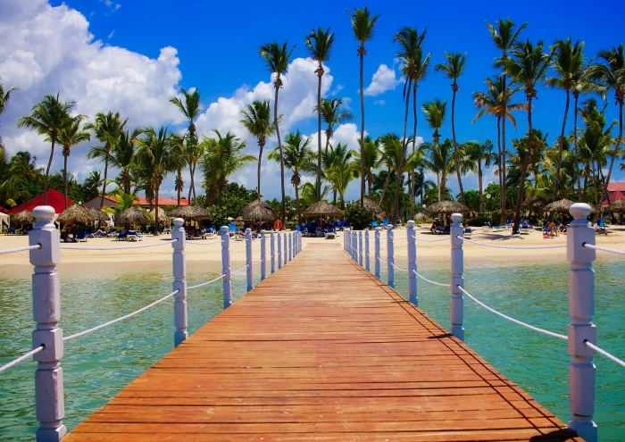 View of Palm Trees on Beach deck dock holiday hotel leisure 2k