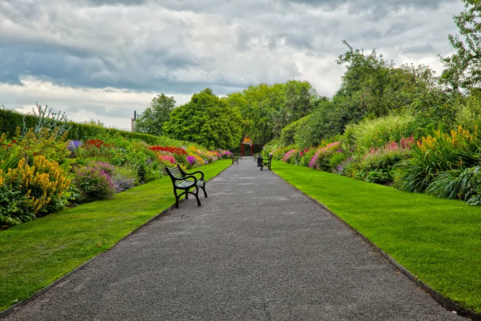 landscape photography of bench in pathway Belfast Botanic Gardens 2k