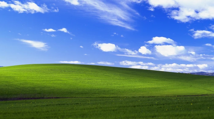 Windows XP Original green grass field digital wallpaper Vista 2k 4k
