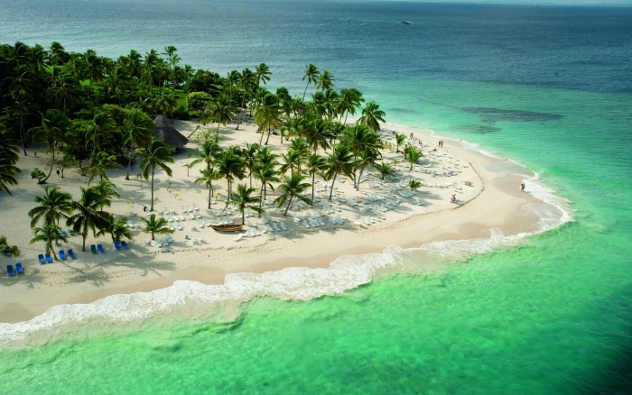 aerial view of coast landscape tropical beach palm trees 2k