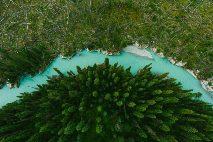green grass field nature landscape drone aerial view trees 2k