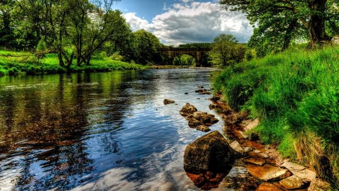 nature desktop full size water plant tree cloud sky 2k