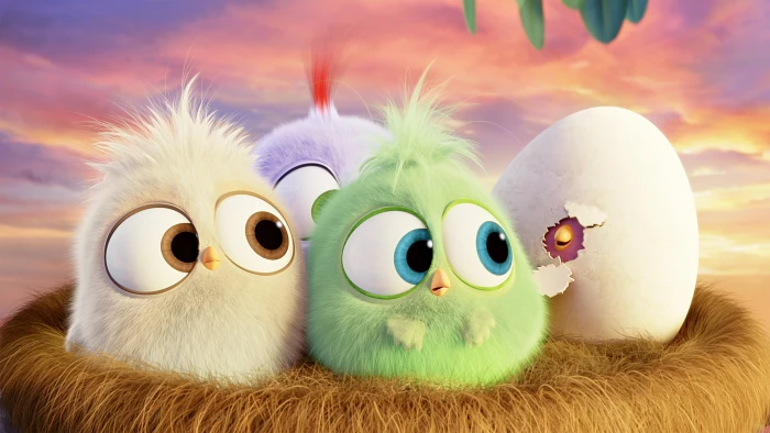 angry birds movies animated the movie 2k 4k