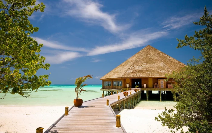 Beach Resort Maldives nature 2k