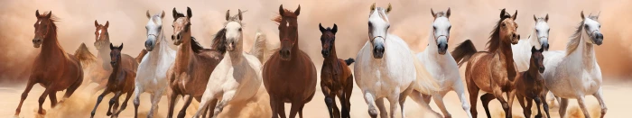 Cheval Cheveaux horse monitor multi multiple screen triple 2k 4k 5k