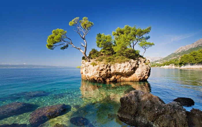 Croatia Sea Scenery Brela Crag Trees Nature 2k