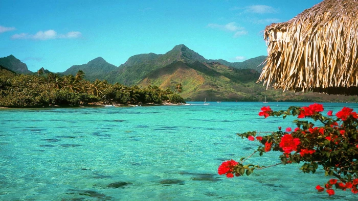 Desktop Background Tropical Beach Screen 2k
