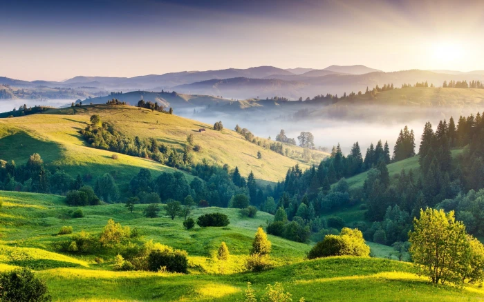 green field with trees nature hills mist landscape mountain 2k
