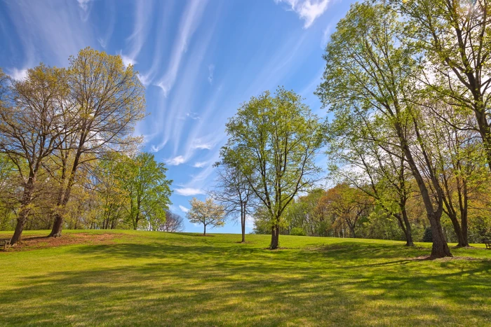 green grass shot during day time meadowlark Gardens 2k