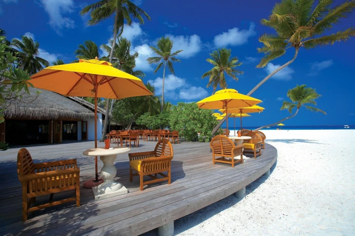 hotel palm trees beach 2k