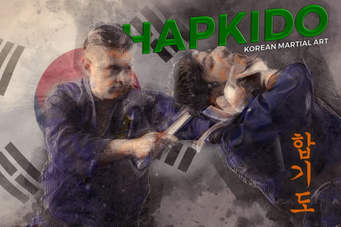 martial arts hapkido korean 2k 4k
