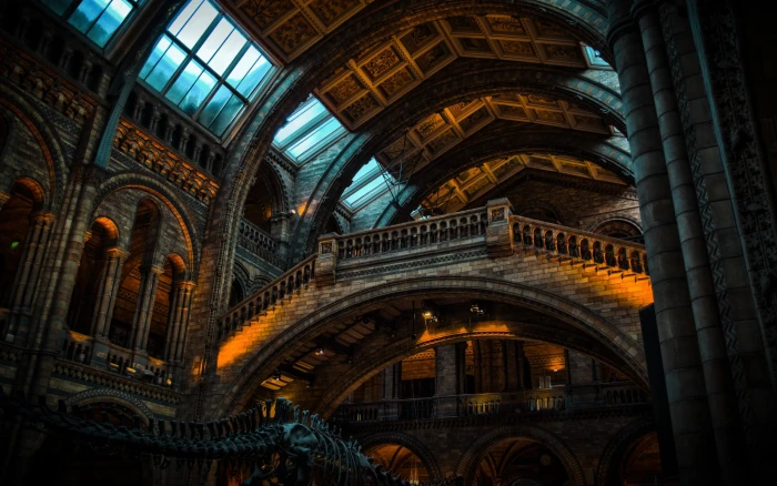 natural light history museum London building architecture 2k