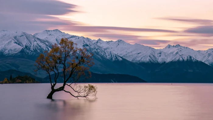 water new zealand lake wanaka mountain horizon lonely tree 2k 4k