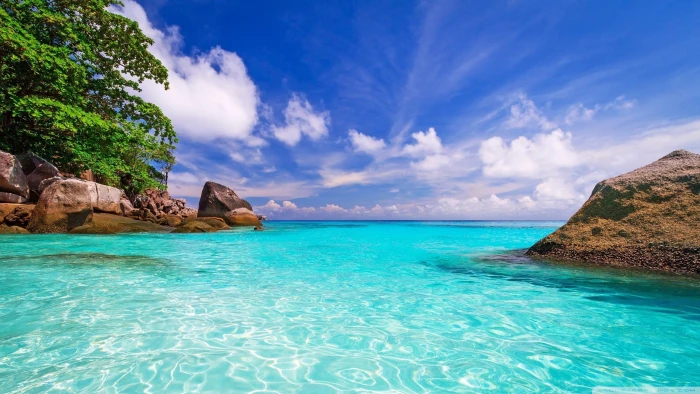 Exotic Places Beautiful Beaches Coast Rocks Trees Blue Ocean Transparent Water White With Clouds Computer Summer Wallpapers Hd 2k