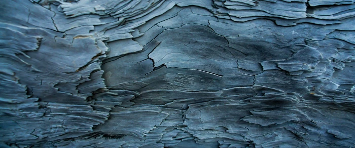 grey wooden surface ultrawide nature photography macro texture 2k